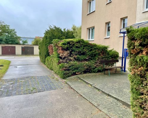 Park mit Büschen und Bank, gepflegt von Deufrains; erfolgreich abgeschlossen im Bereich der Grünanlagenpflege.